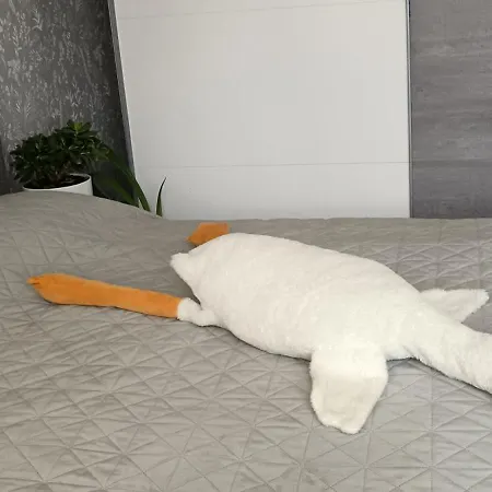Apartman Tilava Kaksio Jussilankadulla